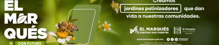 CMA_INFORME BAJÍO 2500 x 606 px