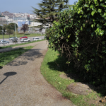 Una alcantarilla y un empujón: así murió Mariano, el seguidor del Racing de Santander, tras discutir con un ex técnico del Albacete