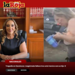 Murió protegiendo a su hijo: magistrada de Zacatecas pierde la vida tras ataque de abejas