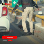 ¡NI LOS POLICÍAS PUDIERON CON LA GALLINA!