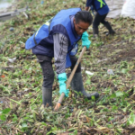 Participa UAQ en la rehabilitación ambiental del bordo Benito Juárez