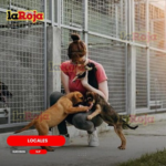 ¡PIDEN CÁRCEL PARA MALTRATADORES DE ANIMALES EN SLP!