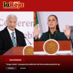 “Tengo miedo”: exesposa del exdirector de Pemex denuncia agresiones; Sheinbaum pide aplicar todo el peso de la ley.