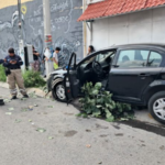 Árbol derribado por automovilista lesiona a una mujer