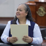 SE BUSCA ADICIONAR LOS PRINCIPIOS DE CUIDADO, AUTOCUIDADO Y DERECHO A CUIDAR Y SER CUIDADO EN LA LEY DE LAS PERSONAS ADULTAS MAYORES DEL ESTADO