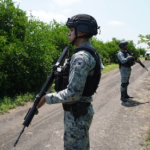 El narco devora el aguacate mexicano