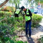 CON CUADRILLAS, VILLA DE POZOS CONTINÚA CON LA LIMPIEZA EN SUS AVENIDAS PRINICIPALES