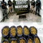 DURANTE OPERATIVO “BOMI”, OFICIALES DE LA GCM DE SOLEDAD ASEGURAN TRES KILOS DE MARIHUANA