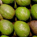 Estados Unidos suspende temporalmente importación de aguacate mexicano; productores piden reactivar el comercio