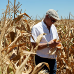 Preocupa al campo falta de agua para el próximo ciclo agrícola
