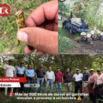 Activan operativo por plaga de langosta en cuatro municipios de SLP