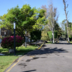 En riesgo, Zona forestal urbana de Querétaro por Tren Mex-Qro
