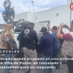 Venado queda atrapado en una vivienda de Villa de Pozos; es rescatado y trasladado para su resguardo