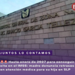 Hasta enero de 2027 para conseguir cita en el IMSS: madre denuncia retrasos en atención médica para su hija en SLP