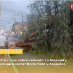 Árbol cae sobre vehículo en Soledad y obliga a cerrar Bella Vista y Acapulco