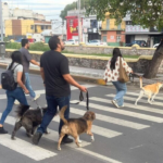 Realizan “Caminata del Recuerdo”